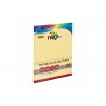 RISMA DI CARTA PREMIUM COLOR PAPER A4 200GR.