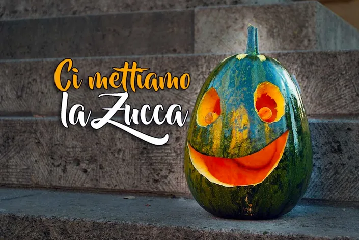 ALKIMEDIA | Web Agency, Creazione siti web, Video e Grafica