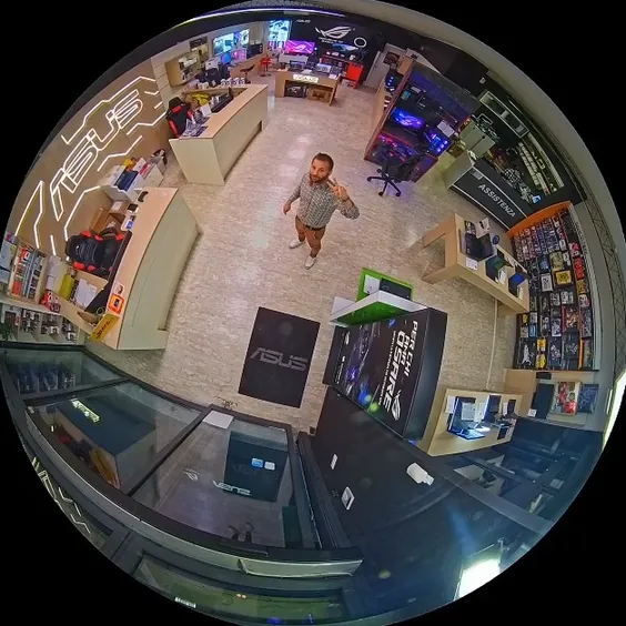 Asus Gold Store | Mister Web – Formigine