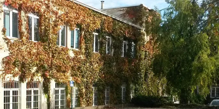 Robinson Srl